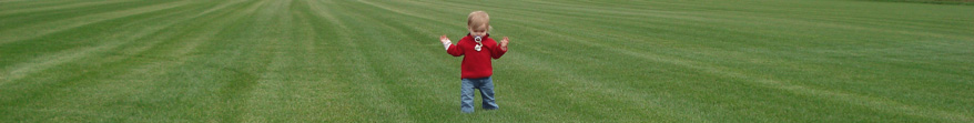 Toddler walking in a turfgrass growing field